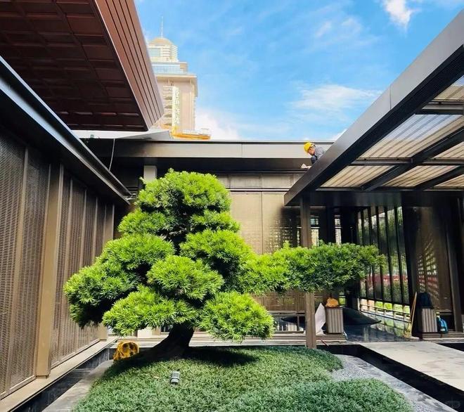 ⚡热搜好房卓越缦悦售楼处发布：打造理想品质生活！(图6)