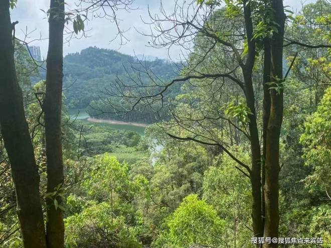 ⏰通告华侨城四海华亭售楼处发布：开启限时臻藏席位！(图12)