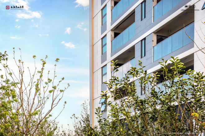 ⚡楼市聚焦尚湾林语售楼处发布：上海闵行尚湾林语引领高端居所(图6)