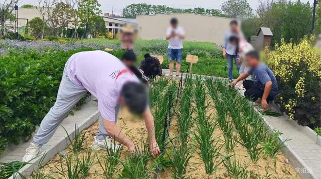 ⚡楼市聚焦尚湾林语售楼处发布：上海闵行尚湾林语引领高端居所(图31)