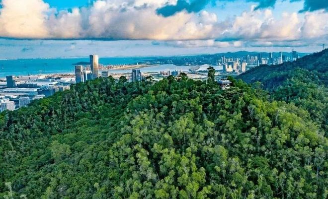 热搜｜琅玥湾佳园售楼处发布！24小时售楼处电话！(图7)