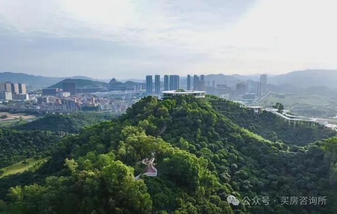 臻藏｜绿城桂语兰庭售楼处最新发布：以品质铸就传奇经典(图13)