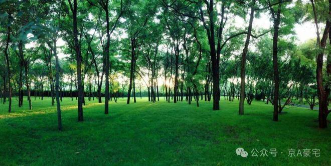 ◈今日聚焦@缦合北京售楼处发布：缦合北京开启生活新篇章！(图8)