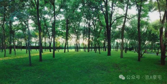 缦合北京-售楼处(缦合北京)网站-2026首页欢迎您-房天下(图8)