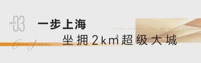 【炸场】金茂未来时光里售楼处未来时光里发布：人居新篇章(图6)