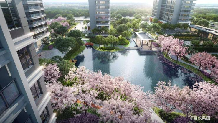 和风雅信(售楼处)网站-2024和风雅信营销中心(售楼处中心)欢迎您-高铁新城-日系精装-户型-价格-地址-楼盘详情-双500强联袂(图7)