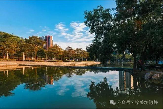 热搜好房⚜｜深铁铭著坊售楼处发布！24小时售楼处电话！(图8)