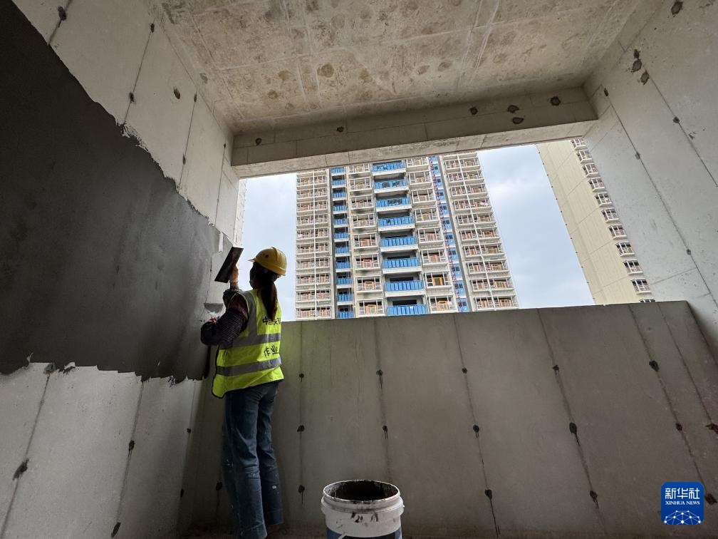 广西南宁：安居工程惠民生(图2)