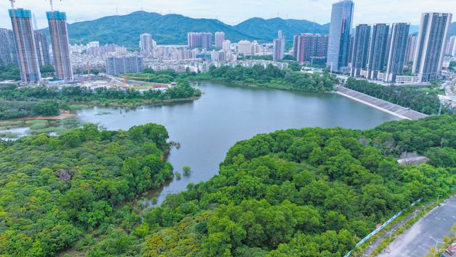 ✨聚焦中建鹏宸云筑售楼处发布：敬献时代人居封面之作(图15)