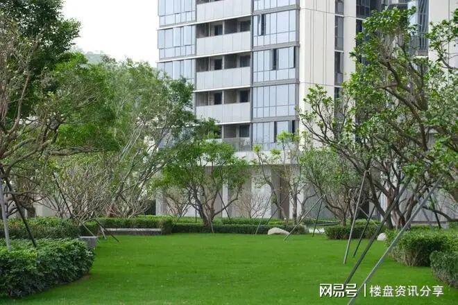 20260423盛合天宸家园开发商售楼处公示(图9)